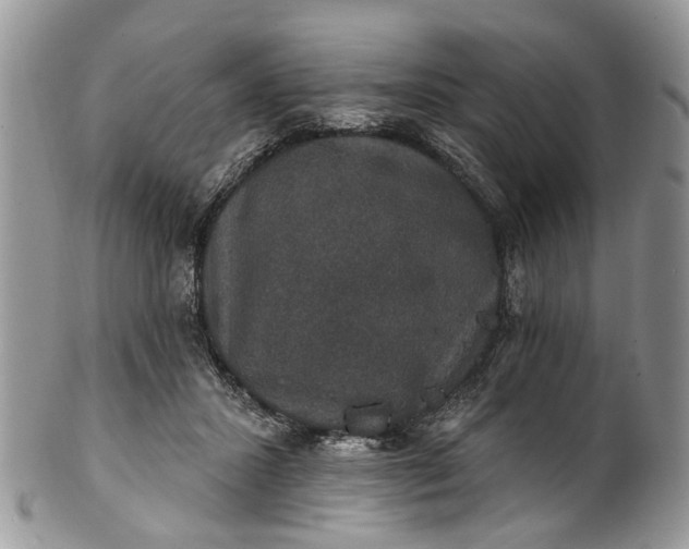 X0000101970407200808011135