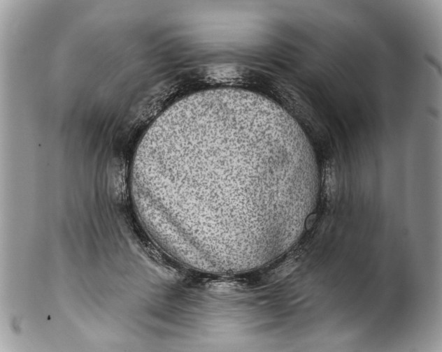 X0000101970408200808011135