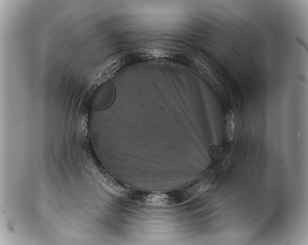 X0000101970410200808011135