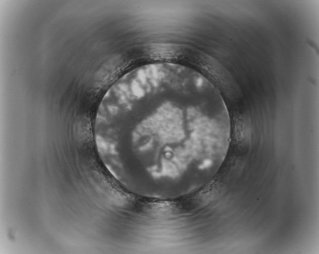 X0000101970411200808011135