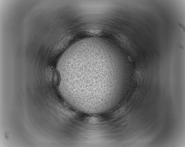 X0000101970412200808011135