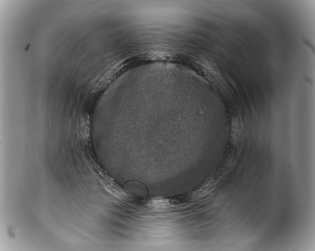 X0000101970413200808011135