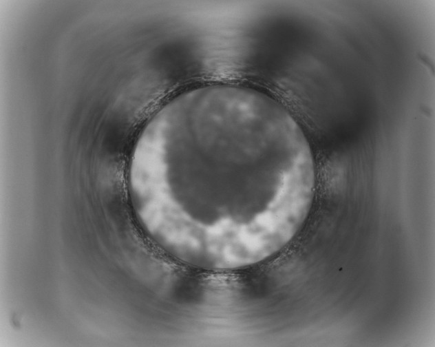 X0000101970415200808011135