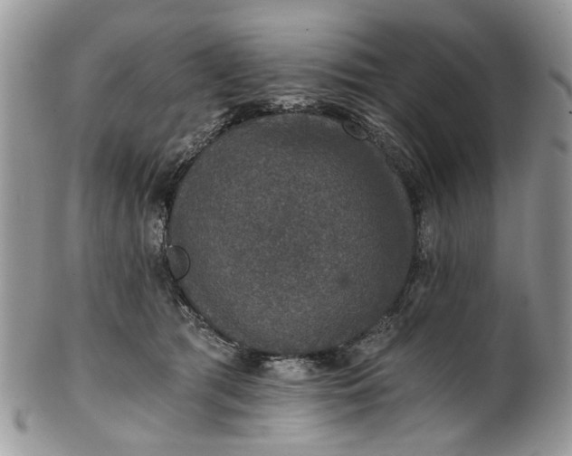 X0000101970417200808011135