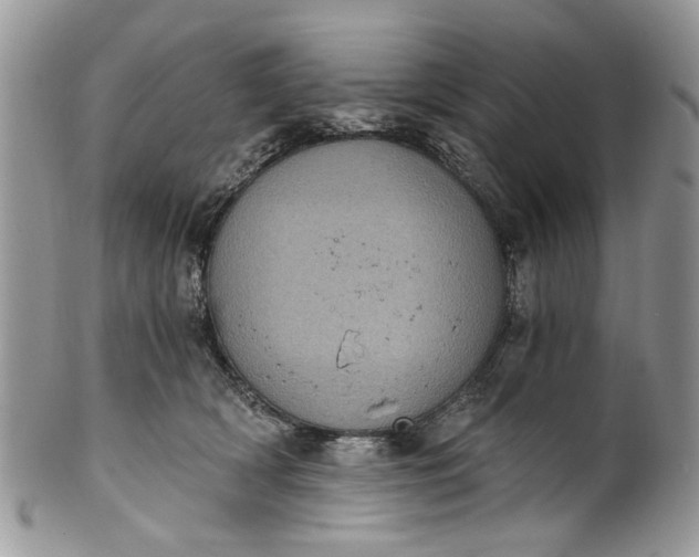 X0000101970418200808011135