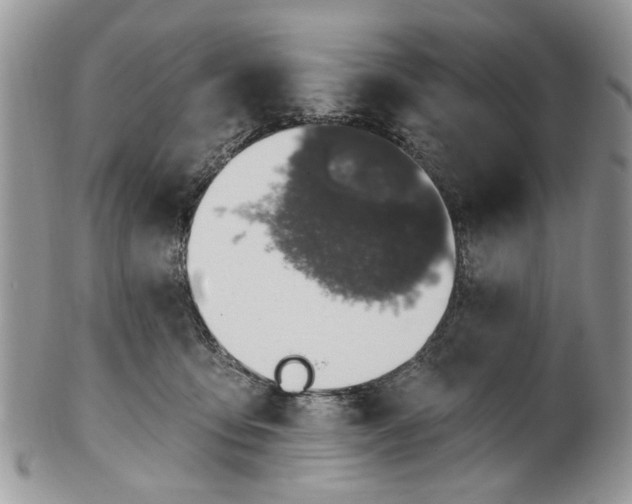 X0000101970419200808011135