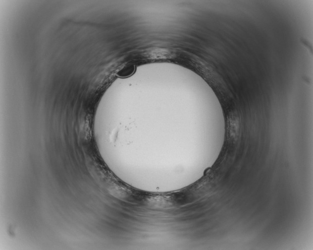 X0000101970422200808011135