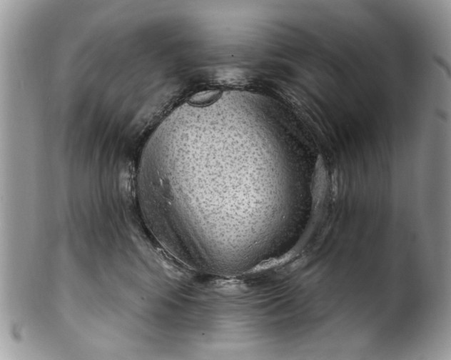 X0000101970424200808011135