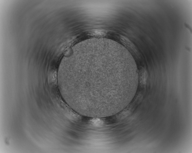 X0000101970425200808011135