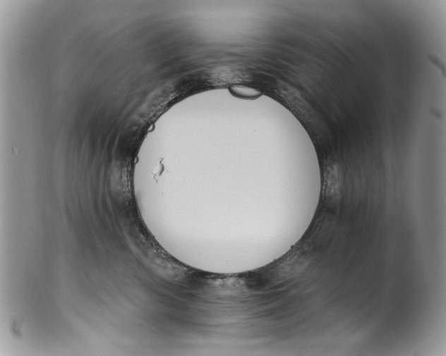 X0000101970426200808011135