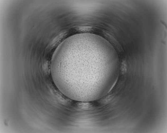 X0000101970428200808011135