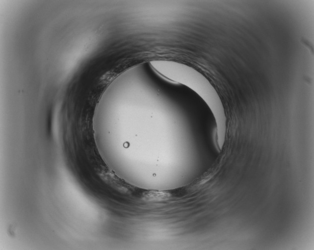 X0000101970429200808011135