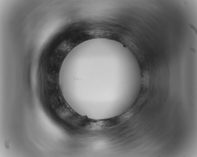 X0000101970430200808011135