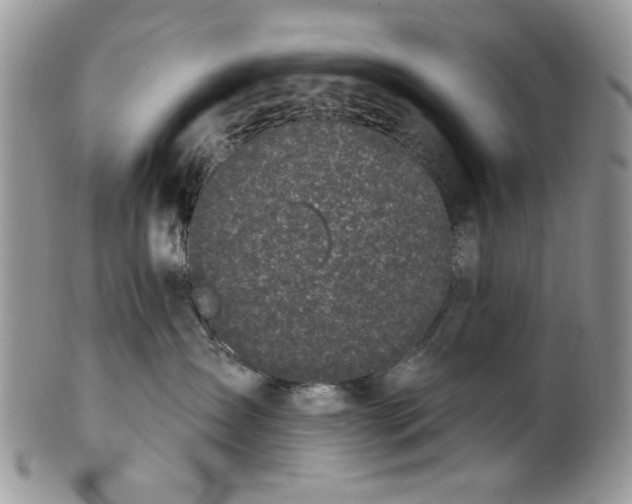 X0000101970431200808011135