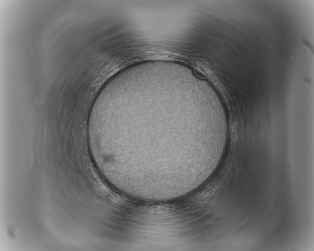 X0000101970433200808011134