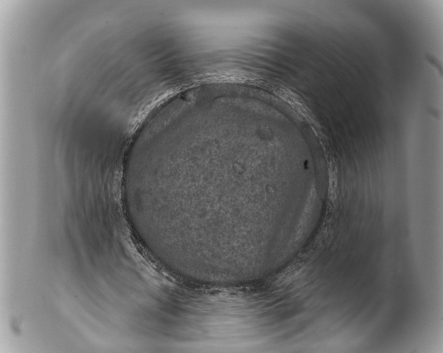 X0000101970434200808011134