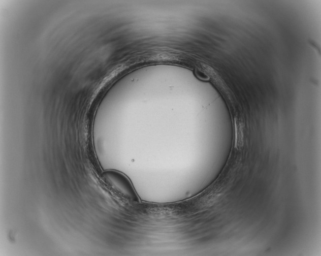 X0000101970435200808011134