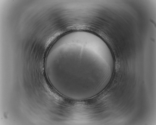 X0000101970438200808011134