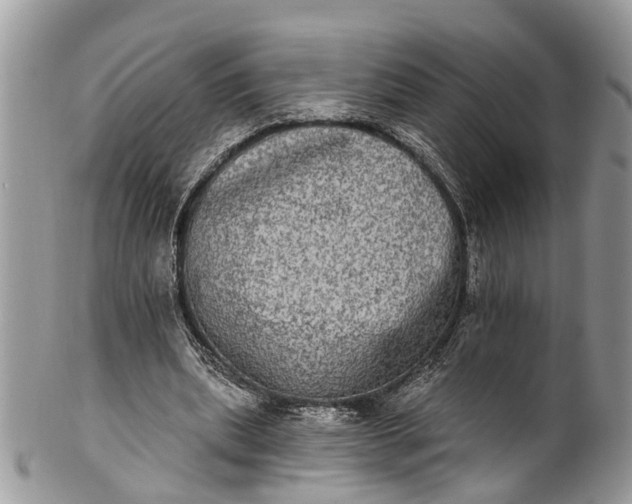 X0000101970439200808011134