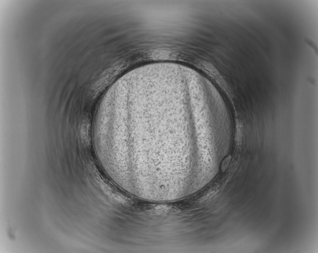 X0000101970441200808011134