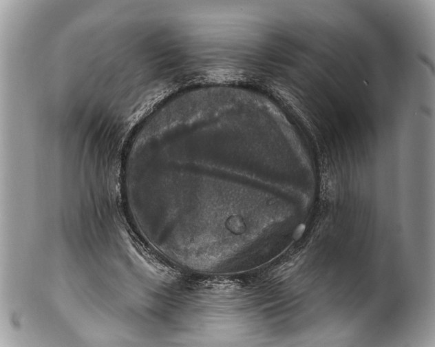X0000101970443200808011134
