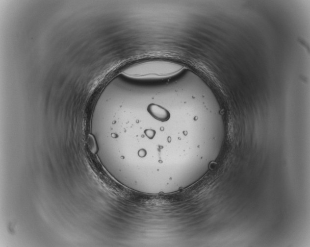 X0000101970444200808011134