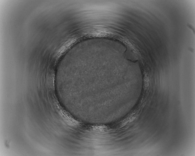 X0000101970446200808011134
