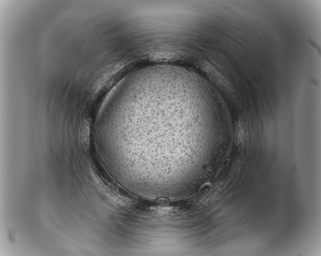 X0000101970448200808011134