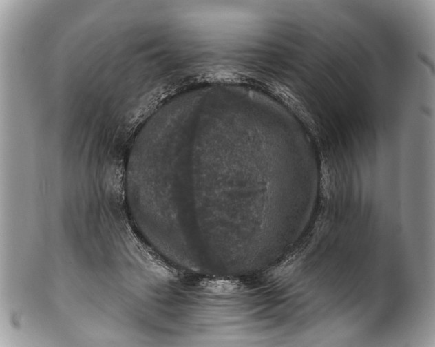 X0000101970449200808011134