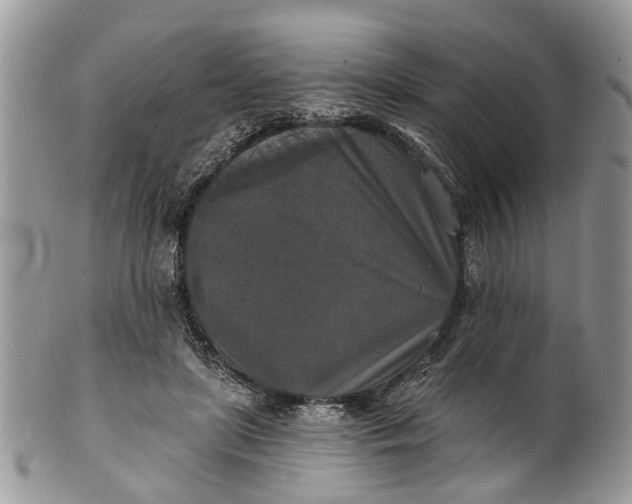X0000101970451200808011134