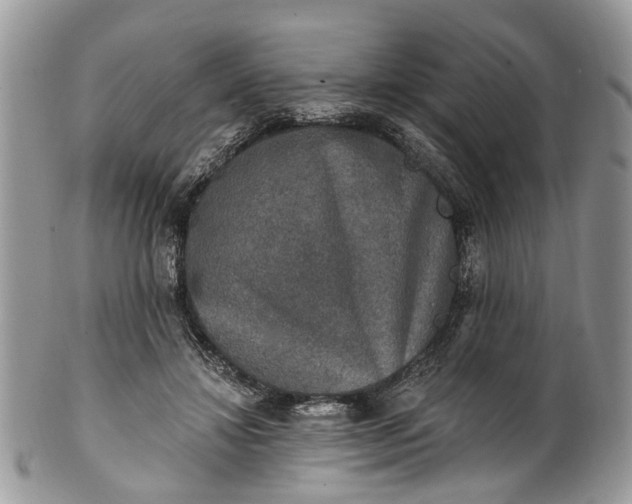 X0000101970452200808011134