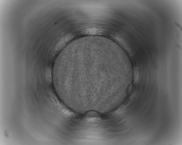 X0000101970453200808011134