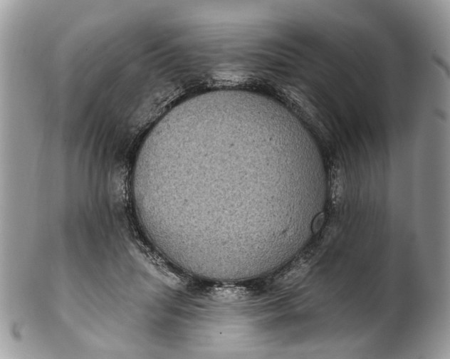 X0000101970455200808011134