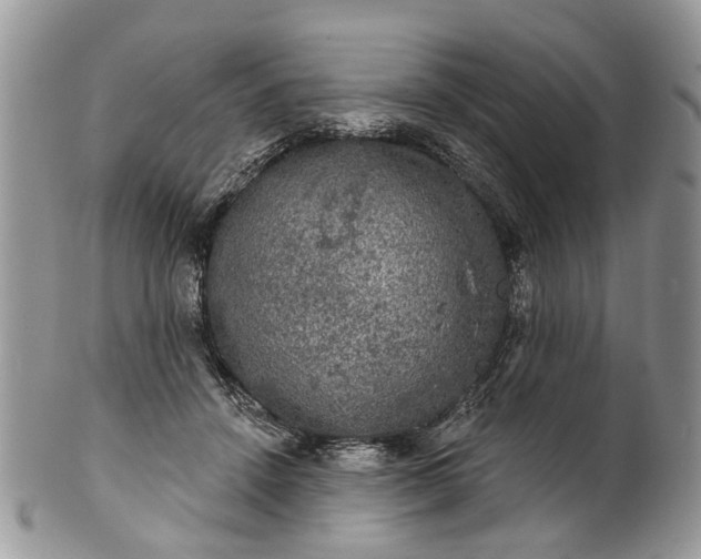 X0000101970456200808011134