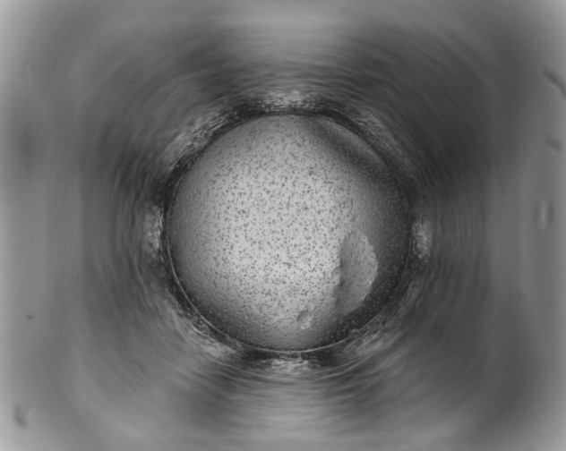 X0000101970458200808011134