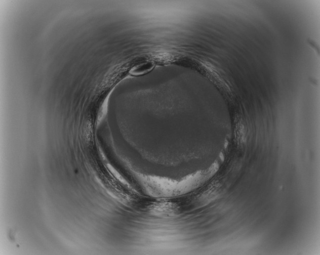 X0000101970459200808011134
