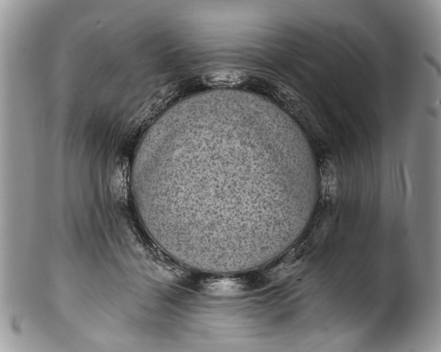 X0000101970460200808011134