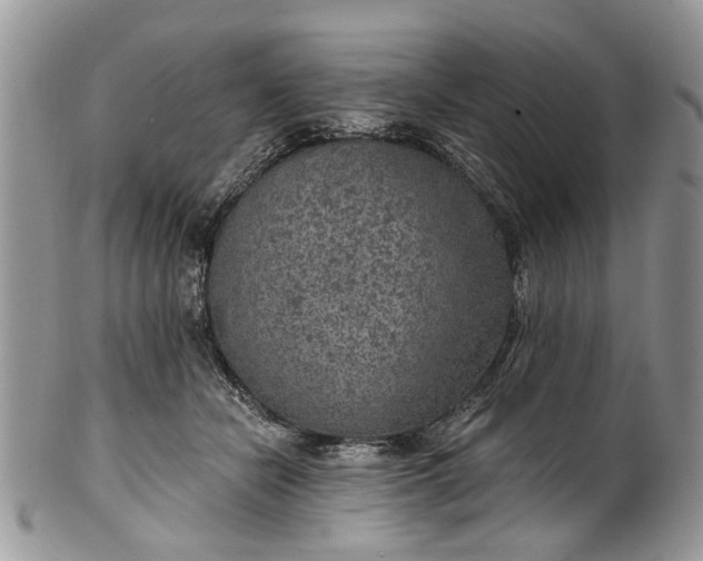 X0000101970462200808011134