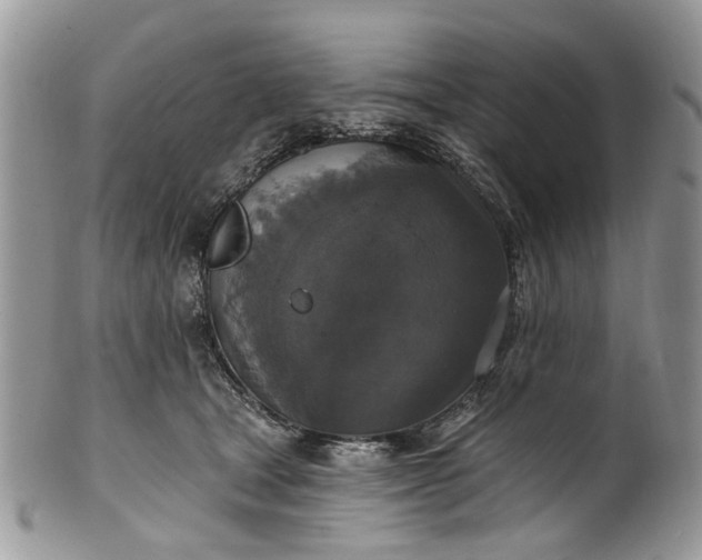 X0000101970465200808011134