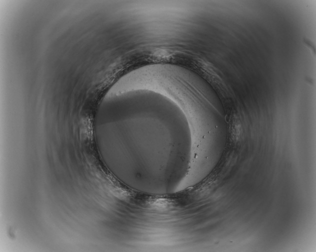 X0000101970467200808011135