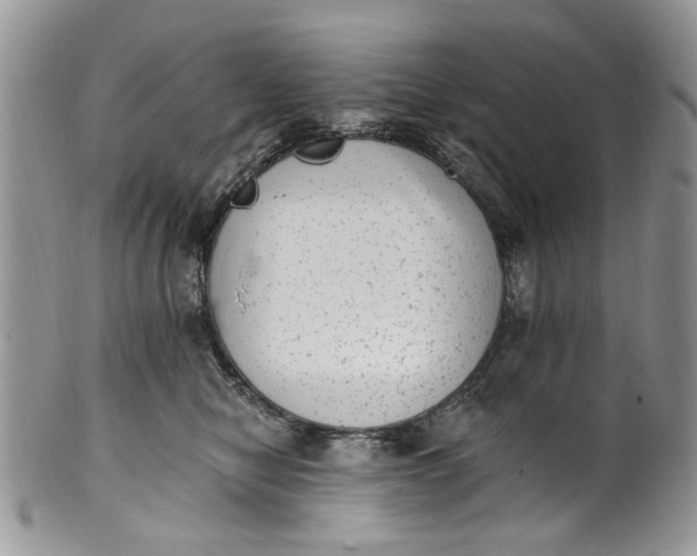 X0000101970470200808011135