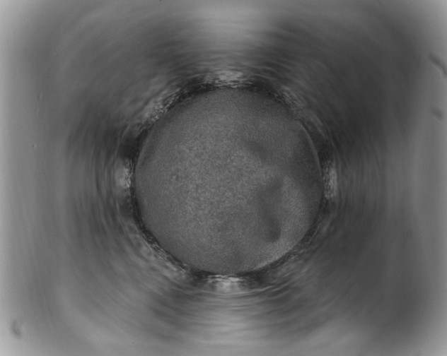 X0000101970472200808011135