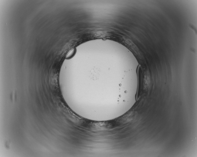 X0000101970473200808011135