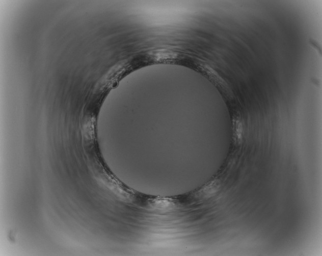 X0000101970475200808011135