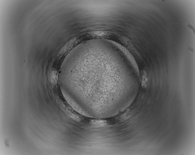 X0000101970476200808011135