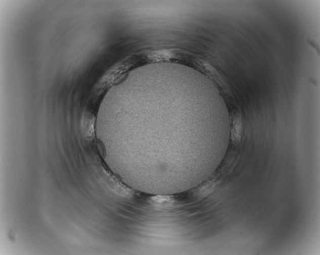 X0000101970477200808011135
