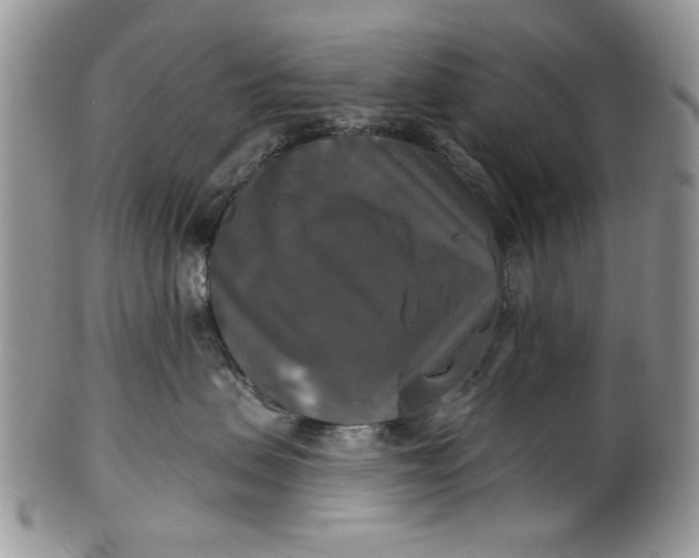 X0000101970479200808011135