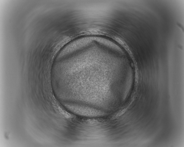 X0000101970481200808011134