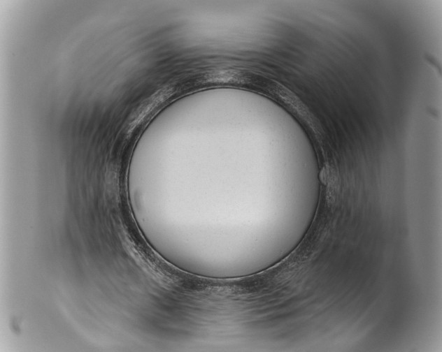 X0000101970482200808011134