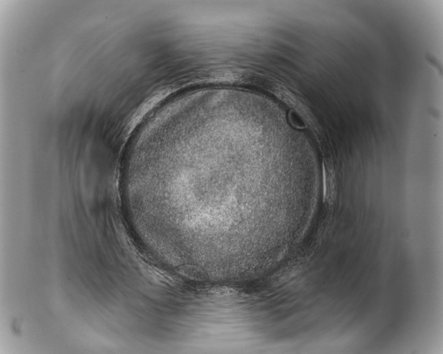 X0000101970483200808011134